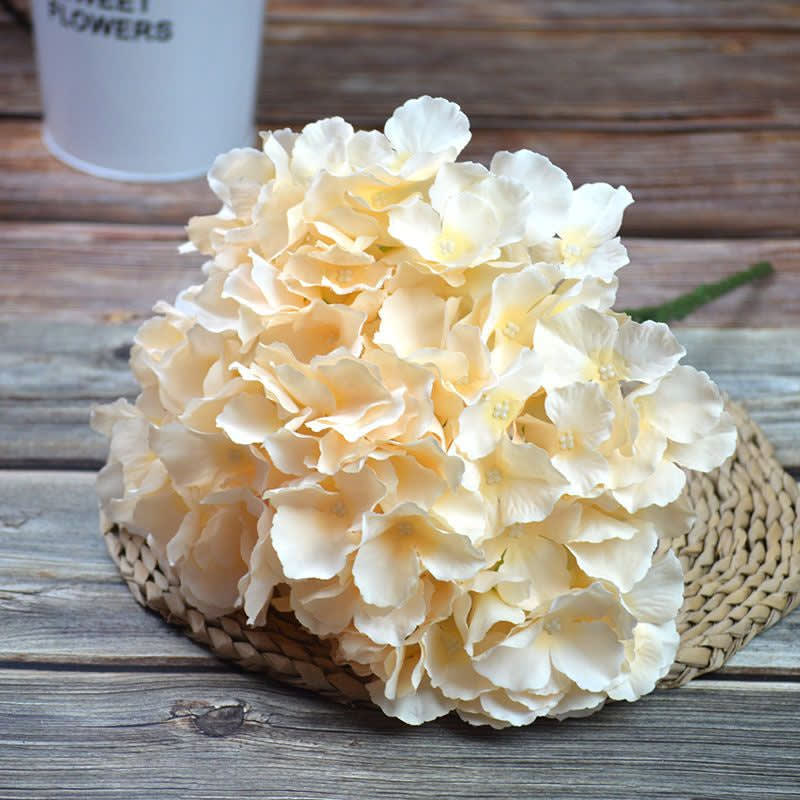 HYDRA 48cm CREAM