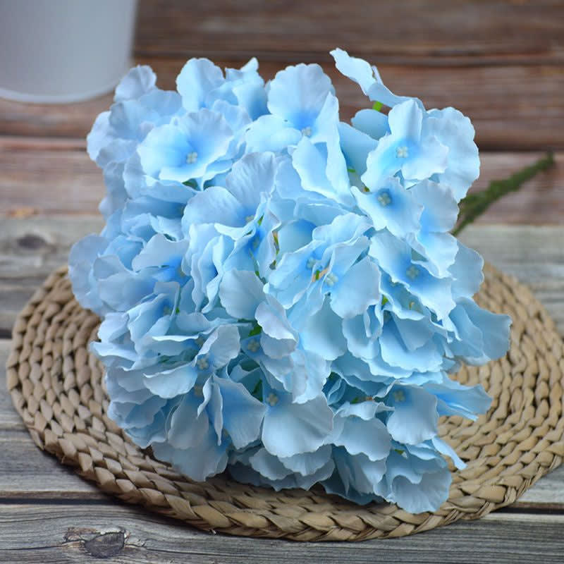 HYDRA 48cm BIRU TERANG