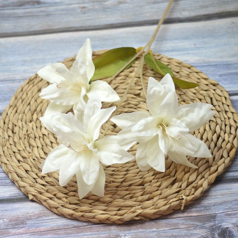 SAYULILI PUTIH