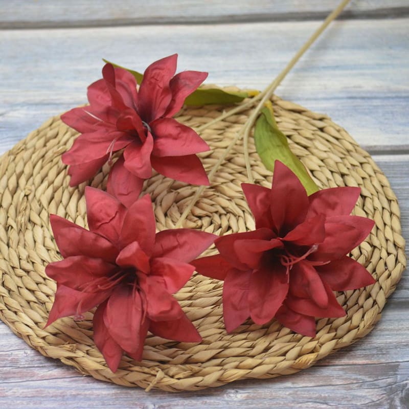 SAYULILI MAROON