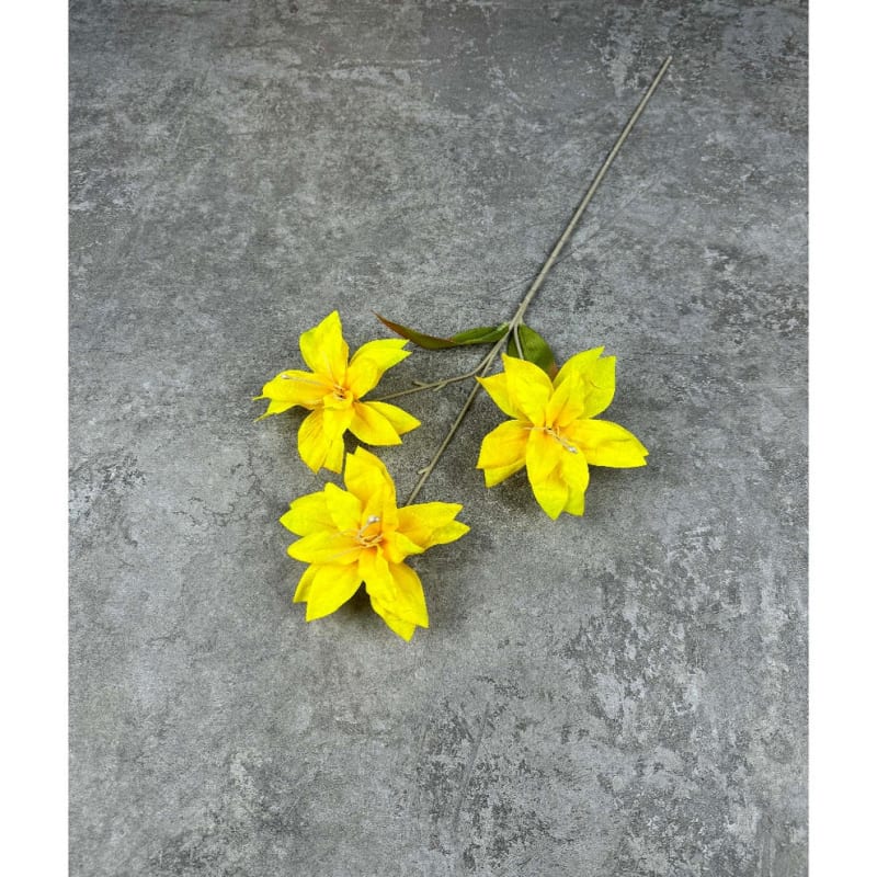 SAYULILI KUNING