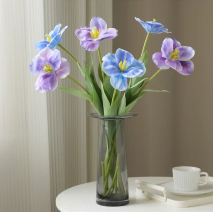 Tulip mekar