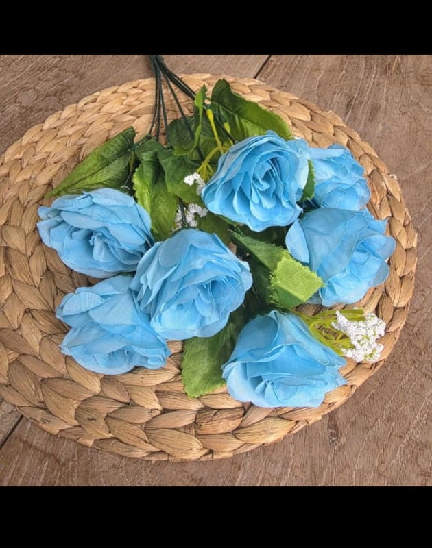 BIRU MUDA