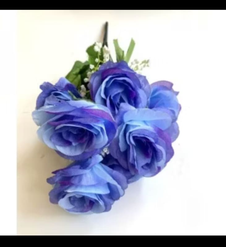 BIRU TUA