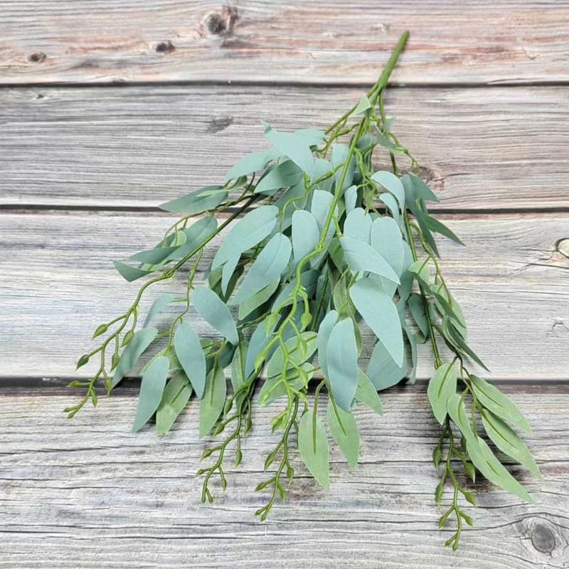 EUCALYP HIJAU MIDA