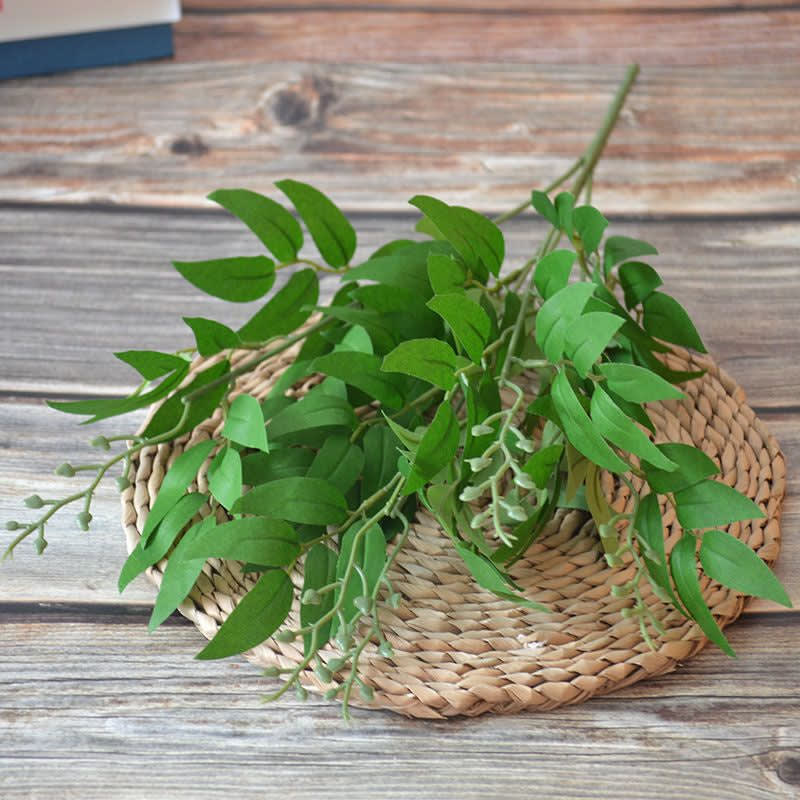 EUCALYP HIJAU TUA