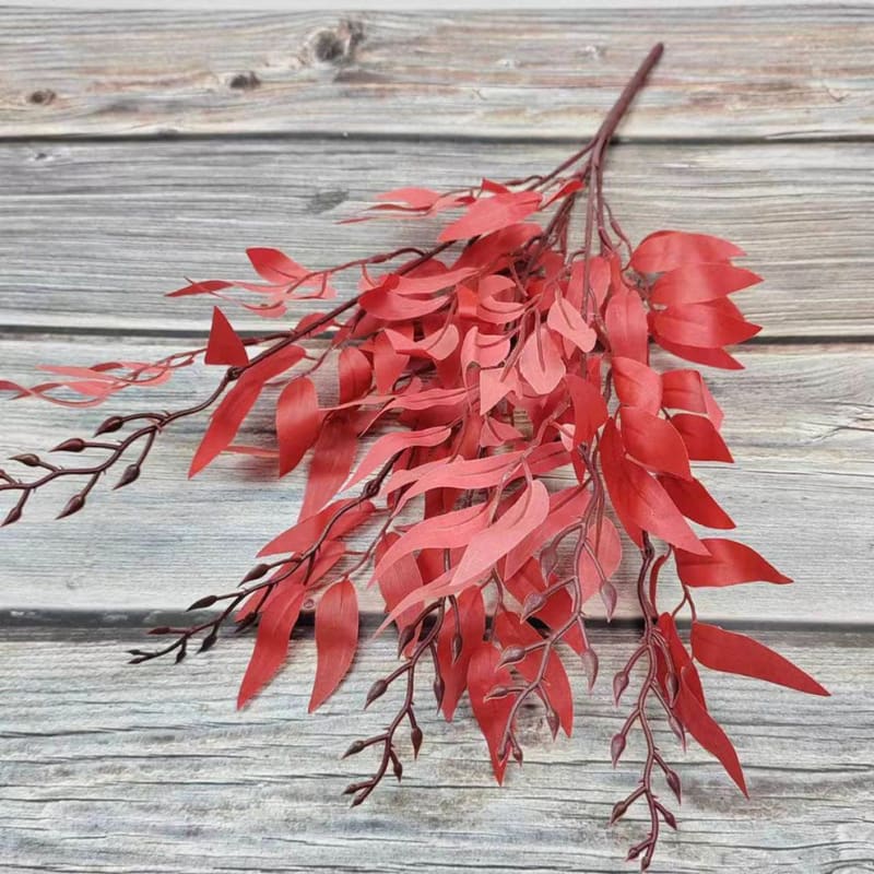 EUCALYP MERAH