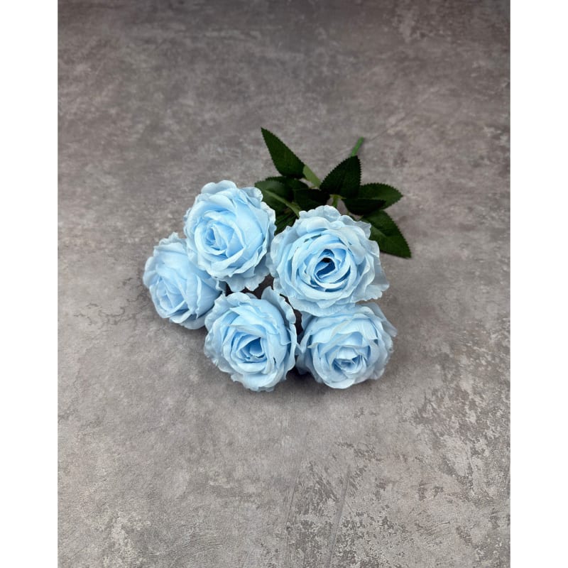 P136 Biru Muda
