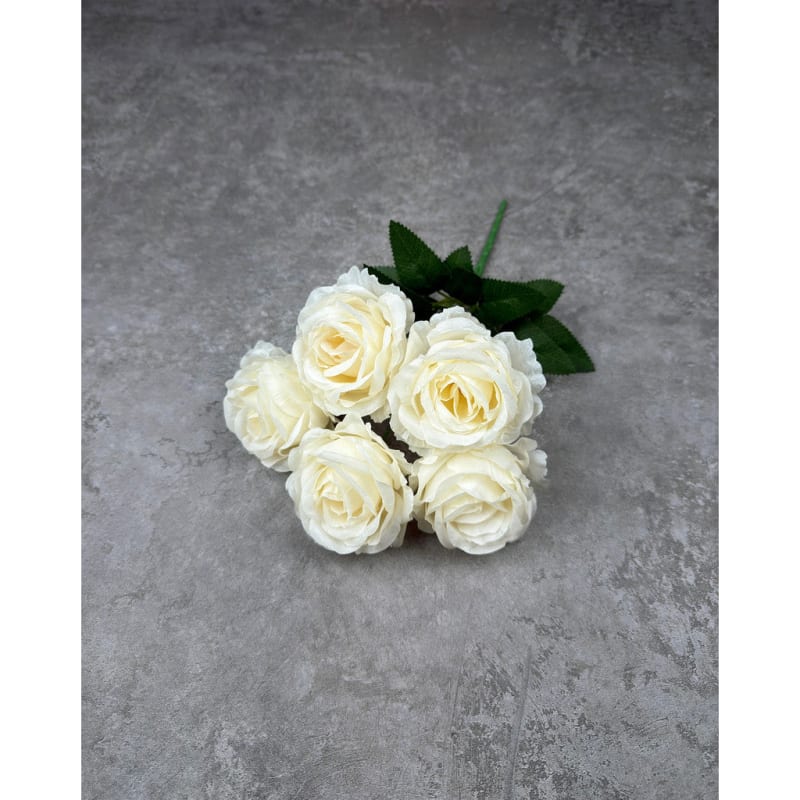 P136 Cream