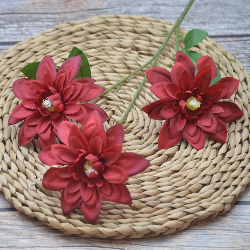 C10 Gina Merah