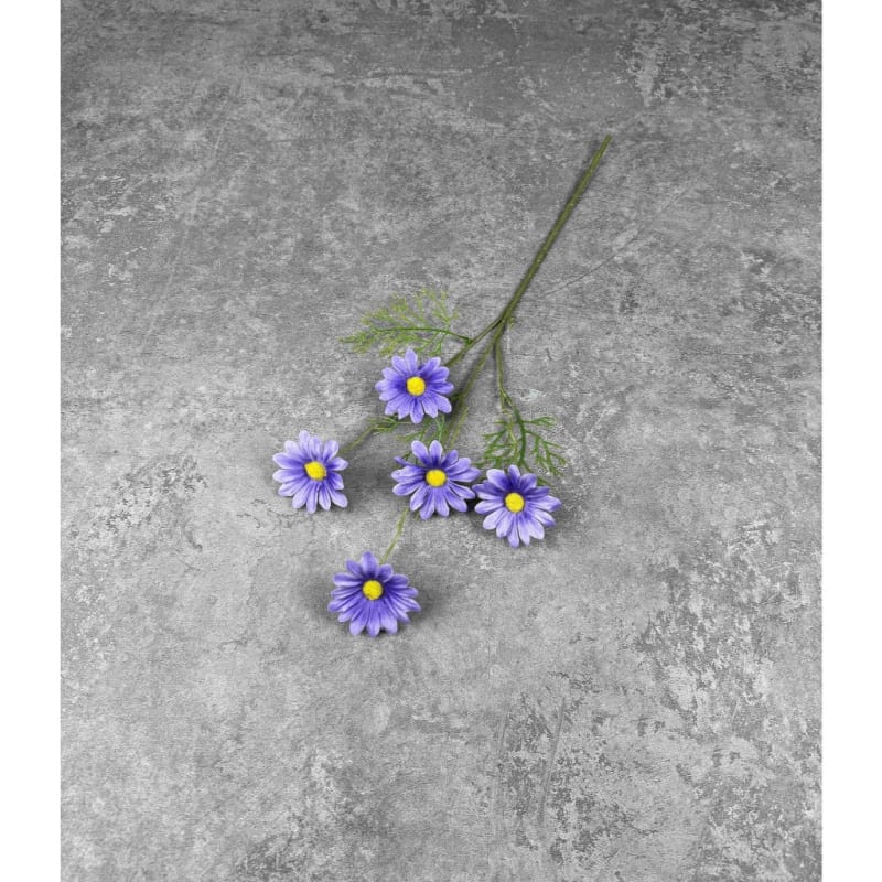 C12 Violet #2