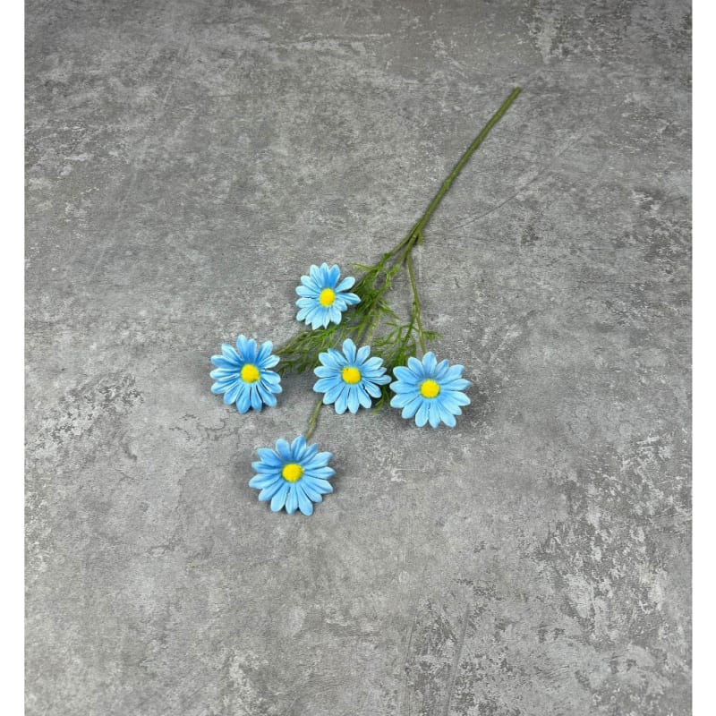 C12 Biru#2