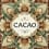 Cacao Ceremonie icon
