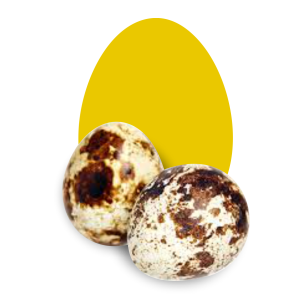 Ovos de codorna