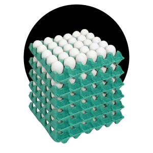 Ovos brancos à granel