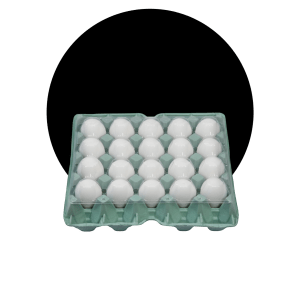 Ovos brancos embalados