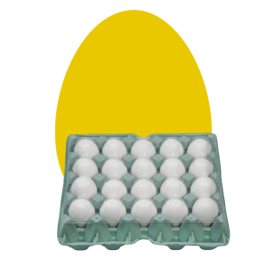 Ovos brancos embalados
