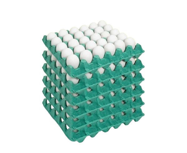 Ovos brancos à granel