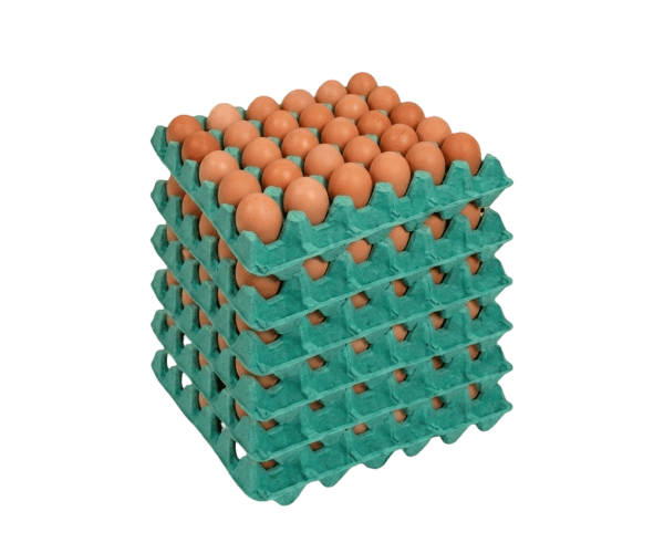 Ovos vermelhos à granel