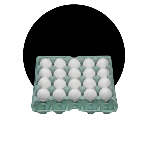 Ovos brancos embalados
