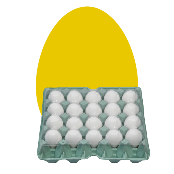 Ovos brancos embalados