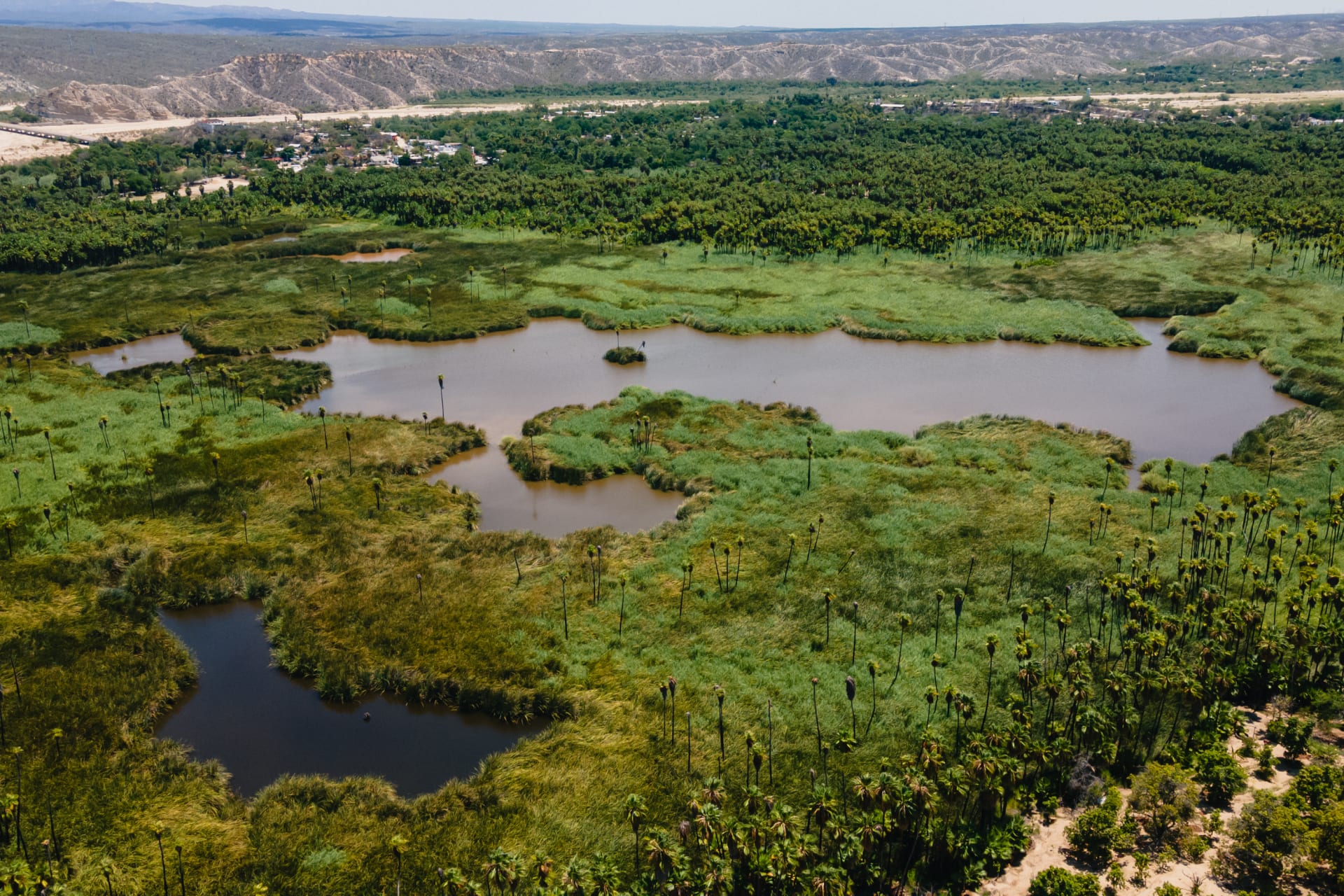 Paisaje de Cabo del Este