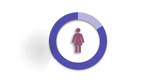 Descripción