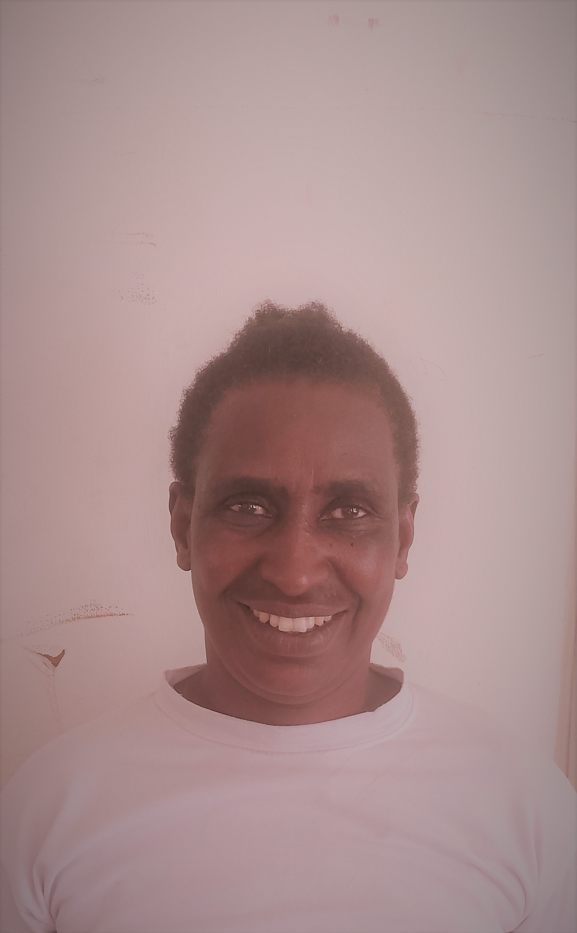 IT Support Specialist