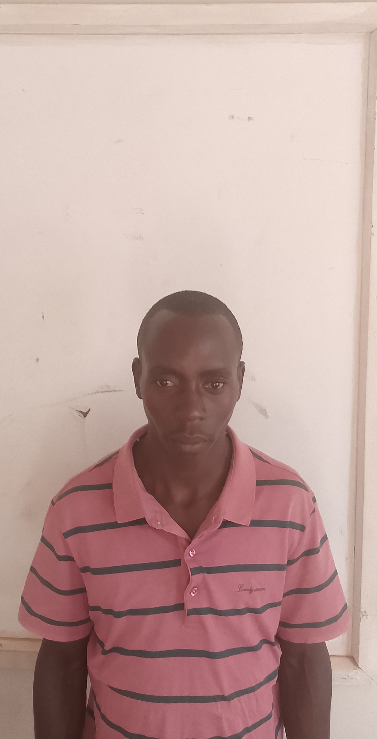 IT Support Specialist