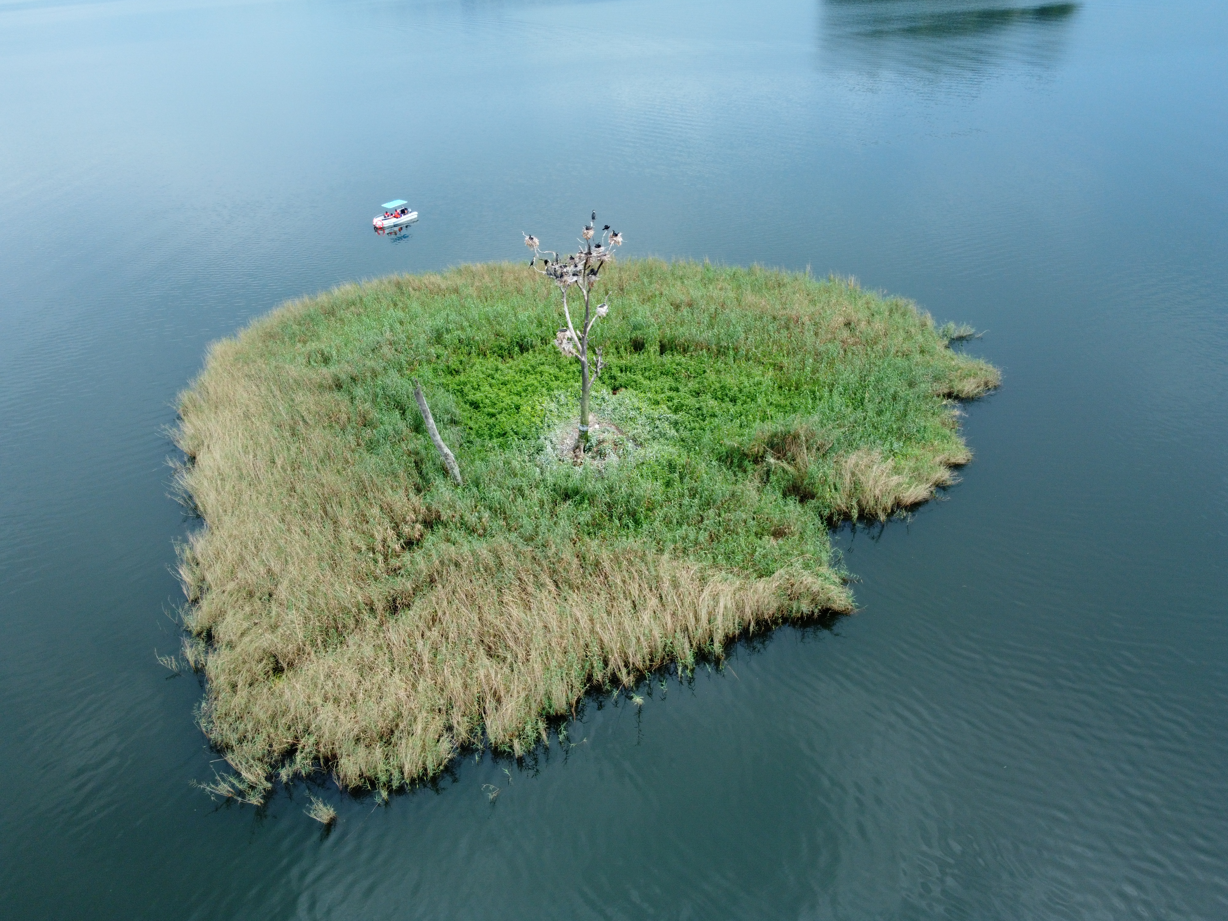 Perhaps the most famous landmark on Lake Bunyonyi. Historically, unmarried pregnant girls were abandoned here as a lesson to others. Today, it stands as a haunting yet beautiful reminder of the past, reclaimed by nature and birdlife.