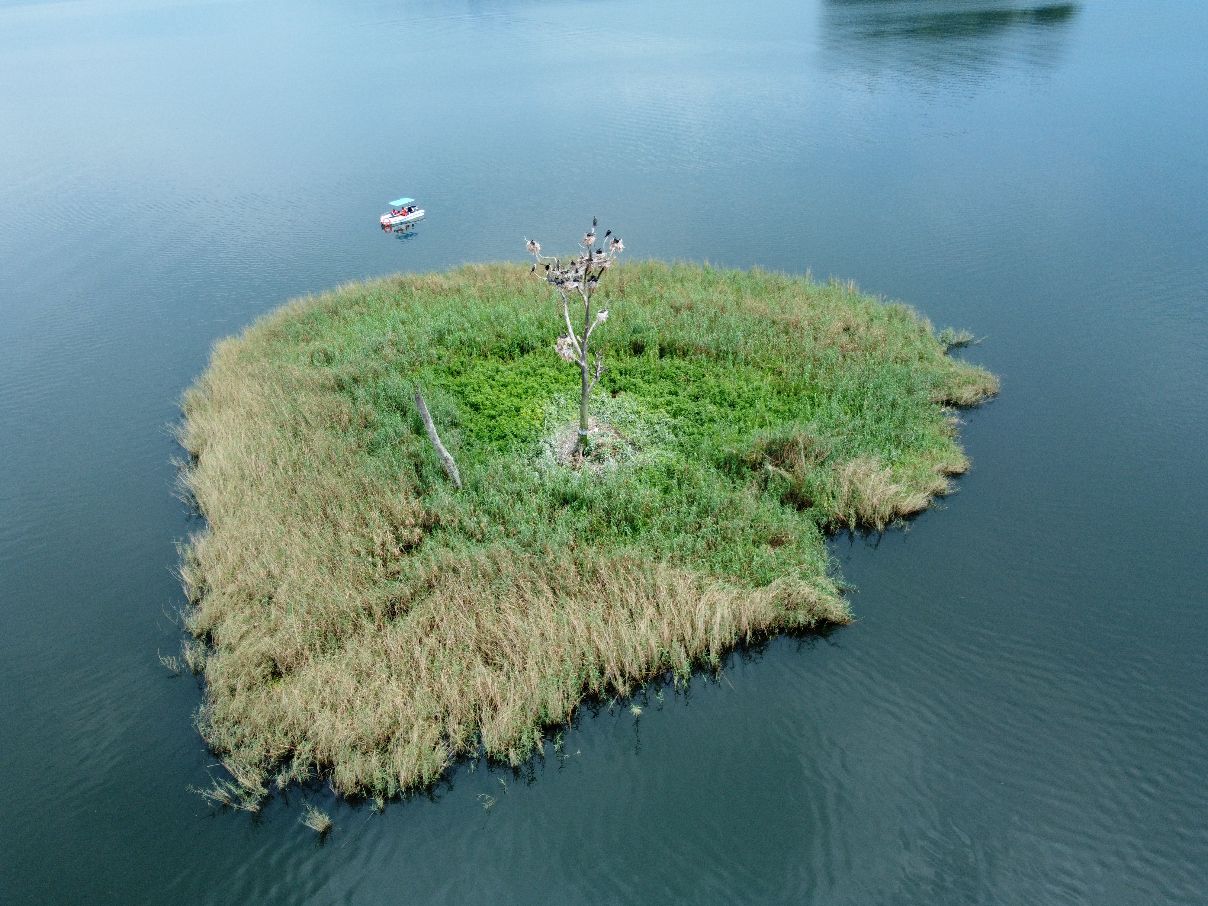 29 Islands Boat Tour – Discover the Stories of Lake Bunyonyi