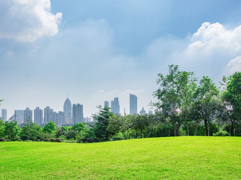 General Contract Services