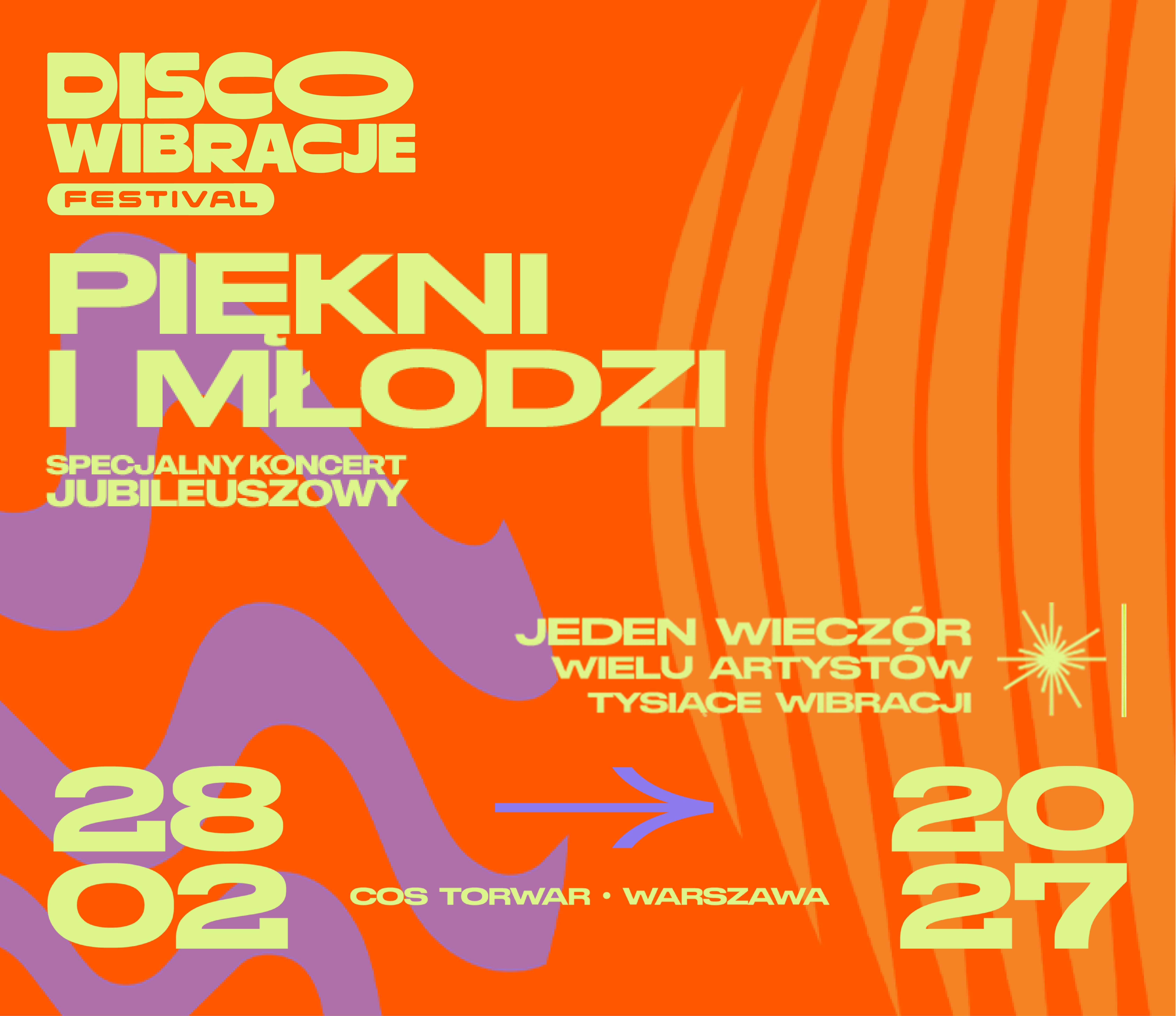 Disco Wibracje Festival