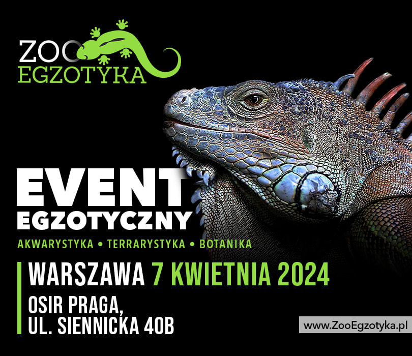 Going. | ZooEgzotyka Warszawa - OSiR Praga-Południe