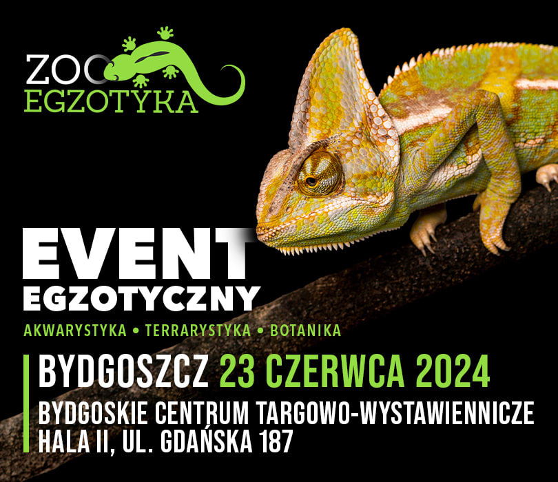 Going. | ZooEgzotyka Bydgoszcz - Bydgoskie Centrum Targowo-Wystawiennicze