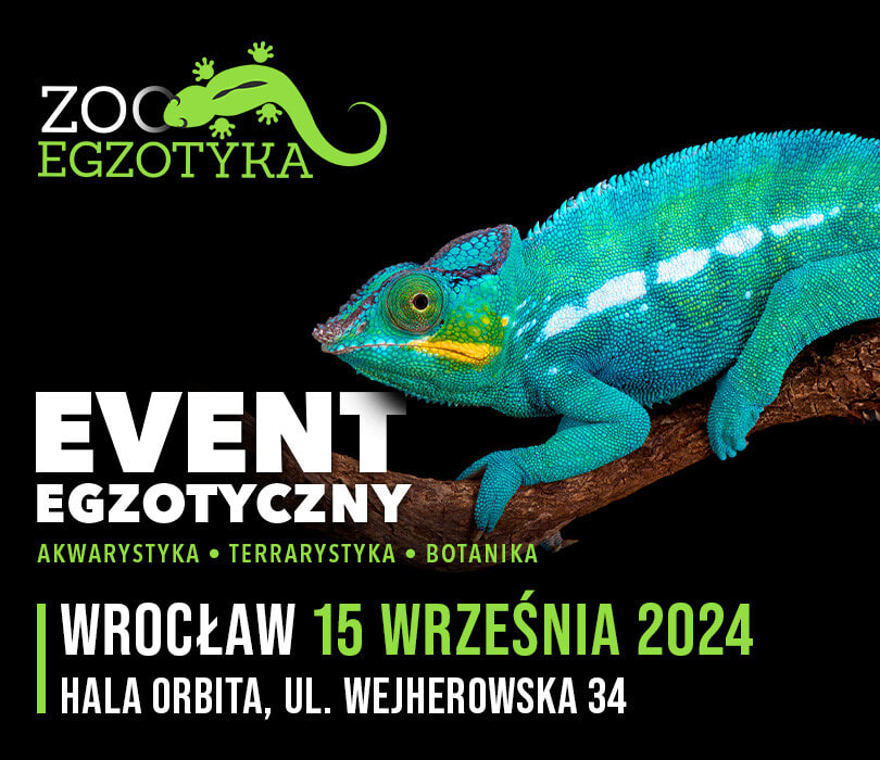 Going. | ZooEgzotyka Wrocław - Hala Orbita