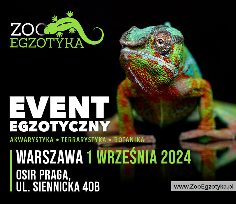 Going. | ZooEgzotyka Warszawa - OSiR Praga-Południe
