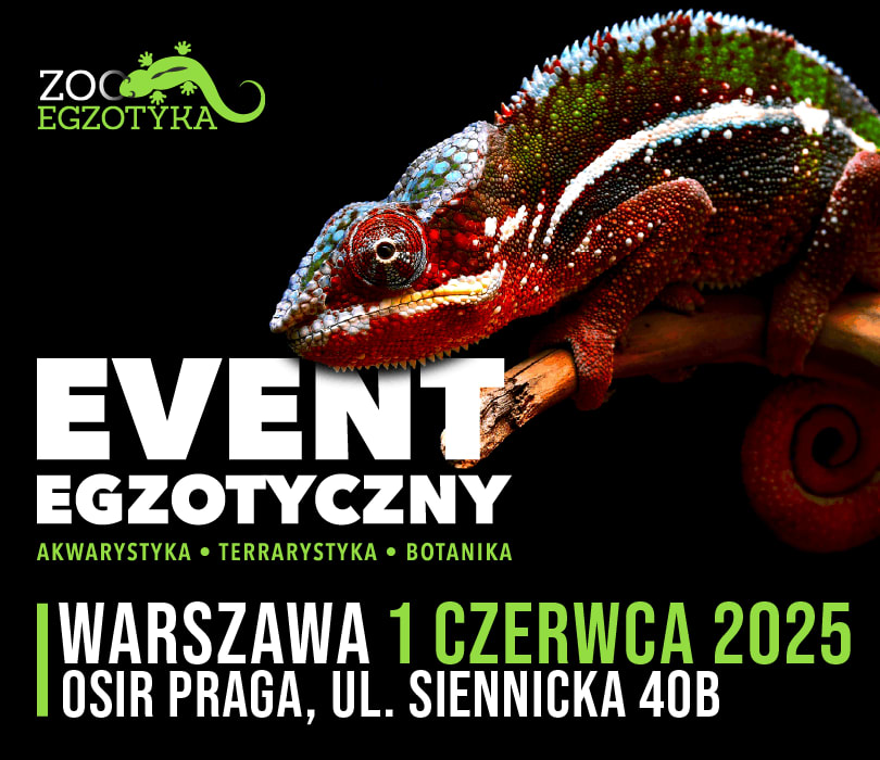 Going. | ZooEgzotyka | Warszawa - OSiR Praga-Południe
