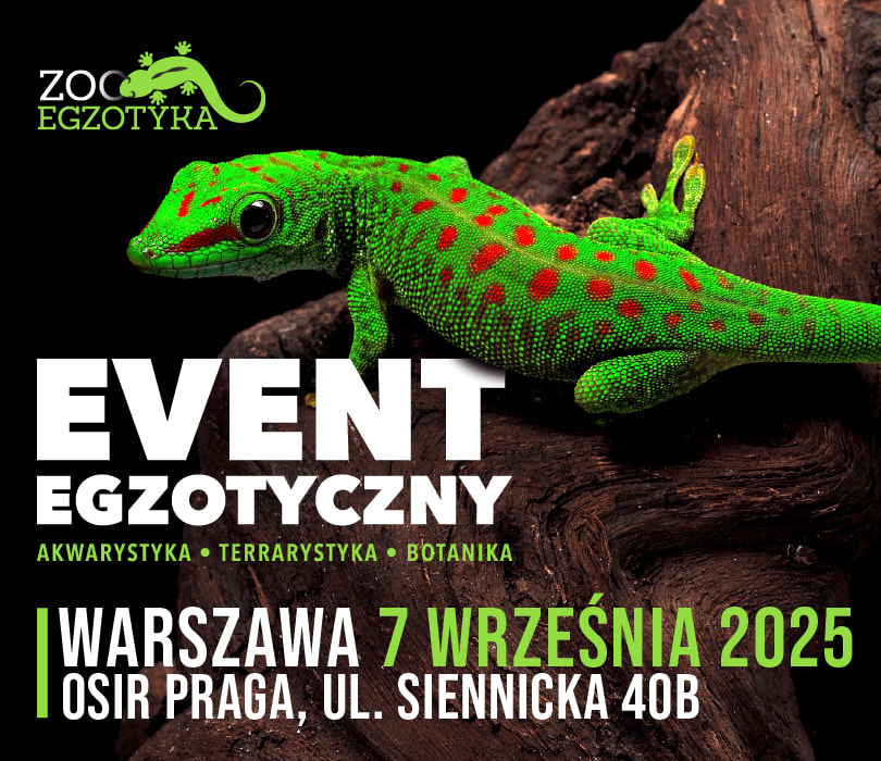 Going. | ZooEgzotyka | Warszawa - OSiR Praga-Południe