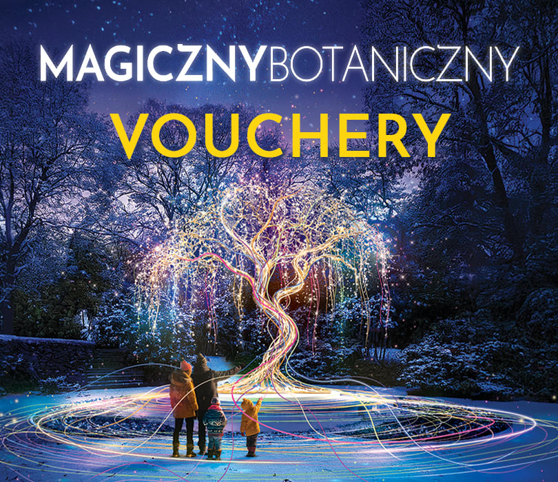 Going. | Vouchery | Lumagica | Magiczny Botaniczny - ogród świateł - Ogród Botaniczny UW
