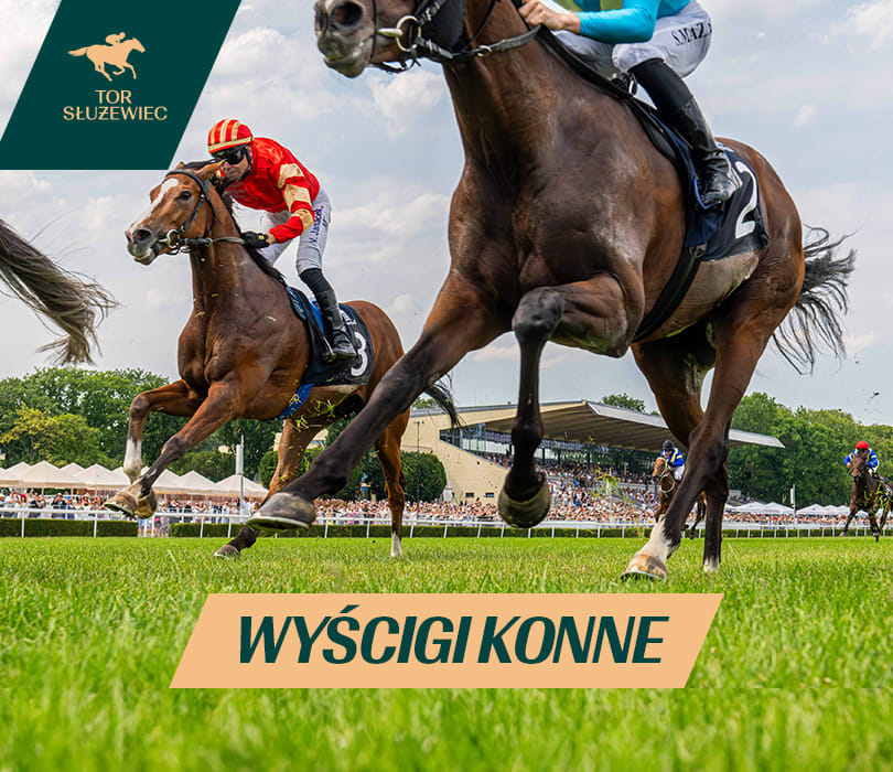 Going. | Wyścigi konne na Torze Służewiec - Tor Wyścigów Konnych Służewiec