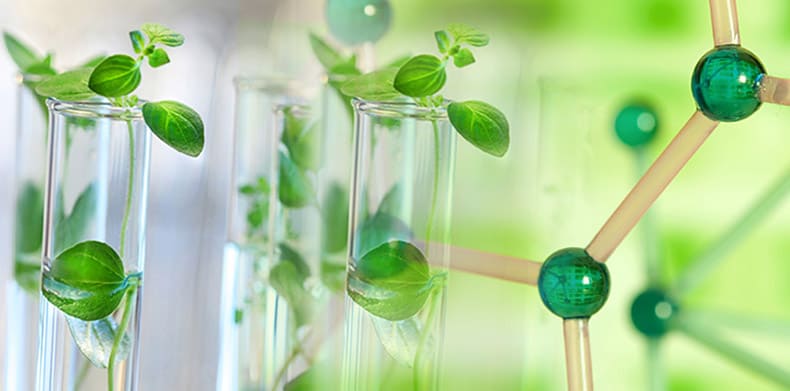 Gambar sampul untuk Green Chemistry: Inovasi Tanpa Mengorbankan Bumi