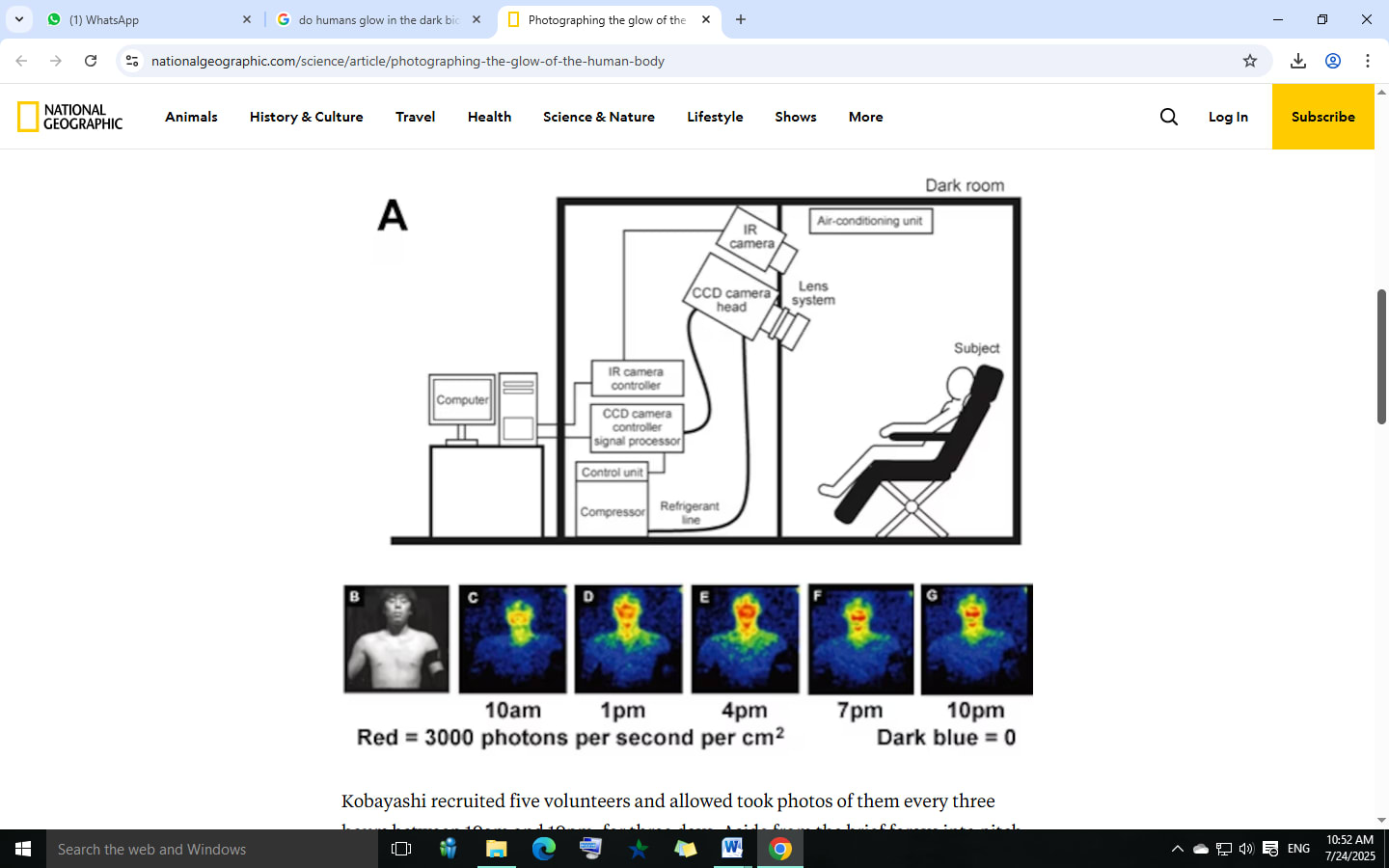 Gambar sampul untuk Human Body Bioluminescence: Cahaya Tak Terlihat dari Dalam Diri Kita