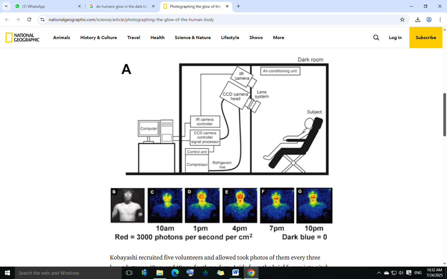 Gambar sampul untuk Human Body Bioluminescence: Cahaya Tak Terlihat dari Dalam Diri Kita