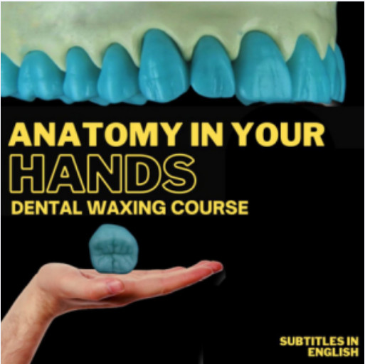 Dental Waxing Course (Portuguese Language – Subtitles: English and Español)