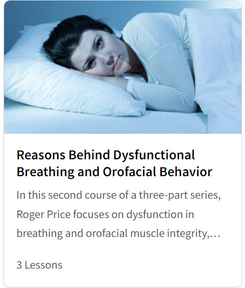 Cover of Reasons Behind Dysfunctional Breathing and Orofacial Behavior