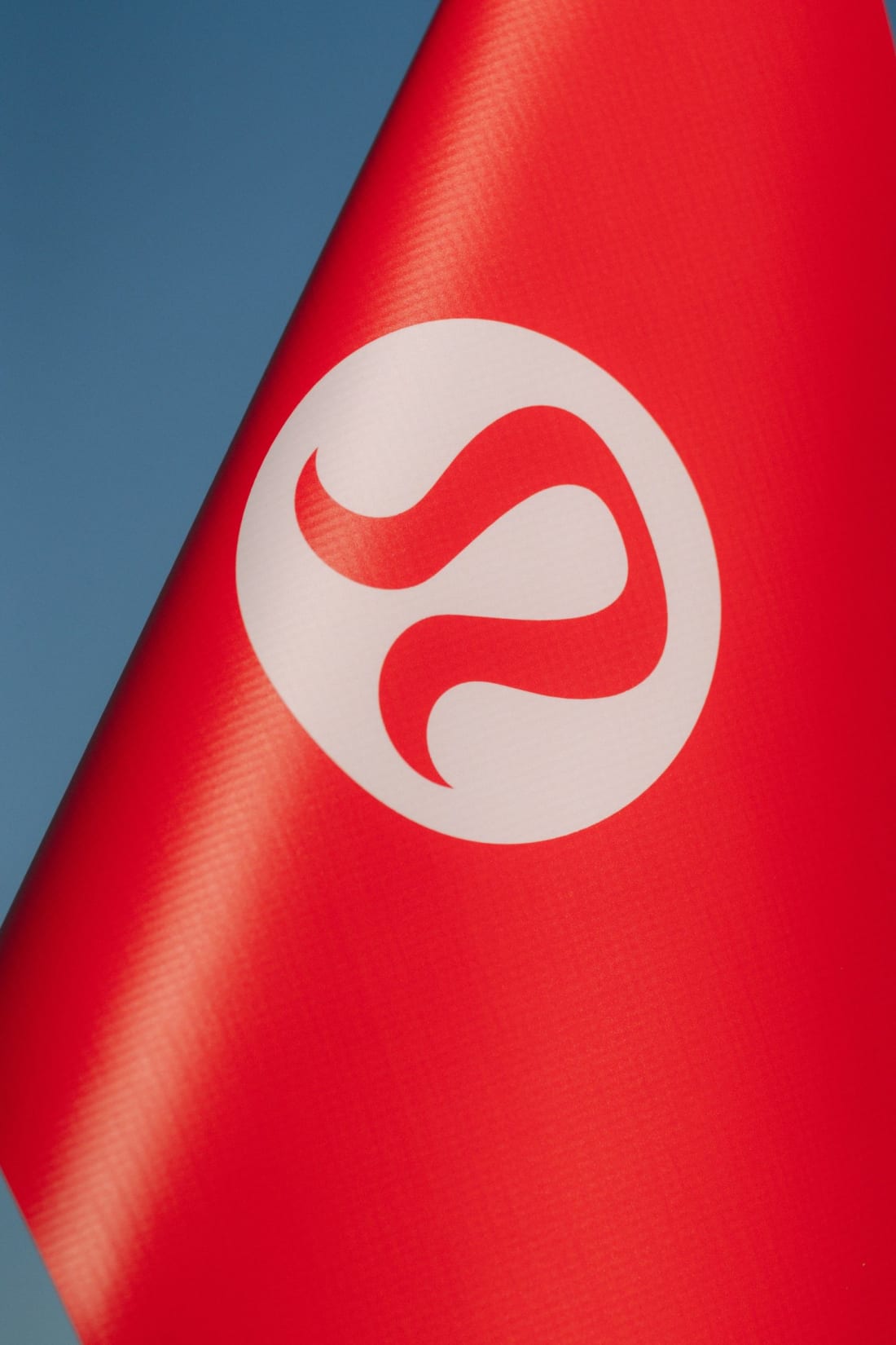 The flag