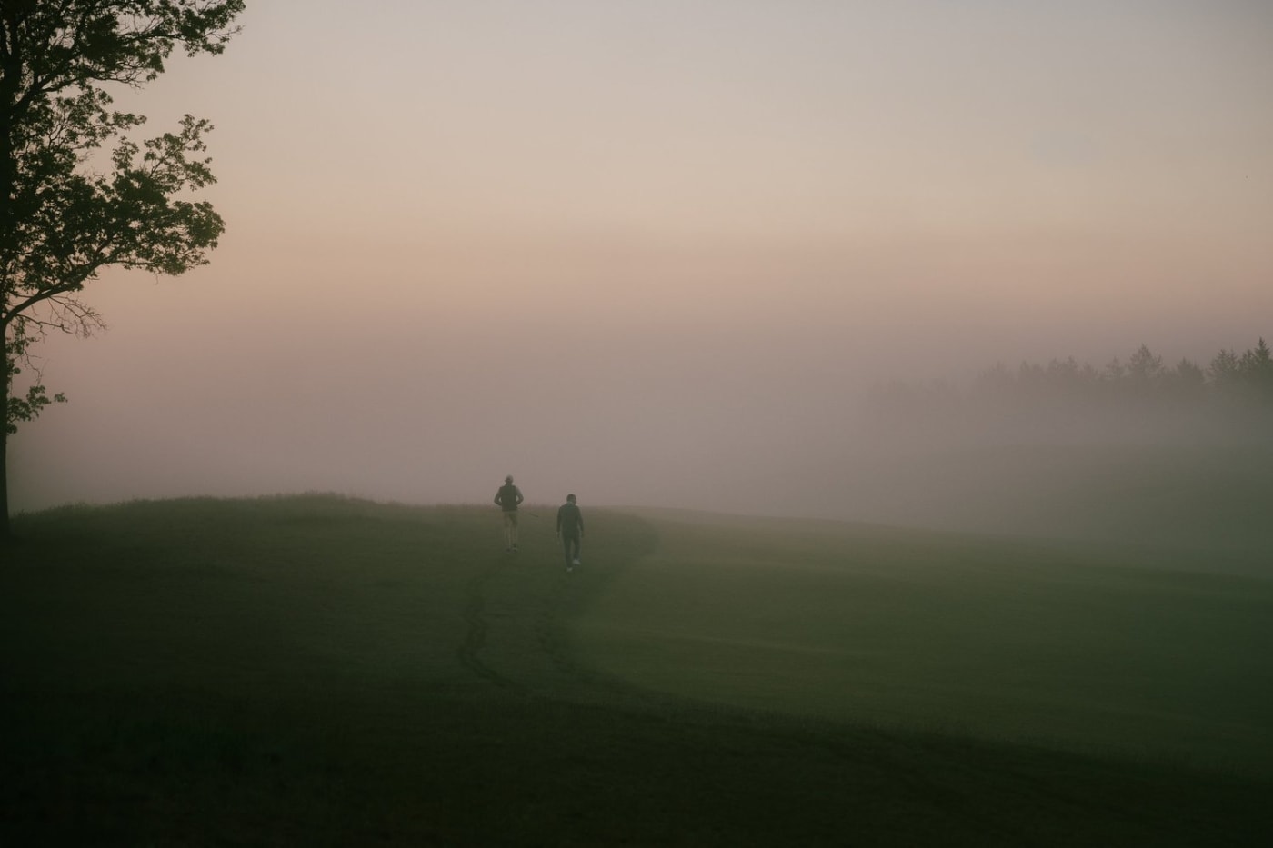 Fog, fairway