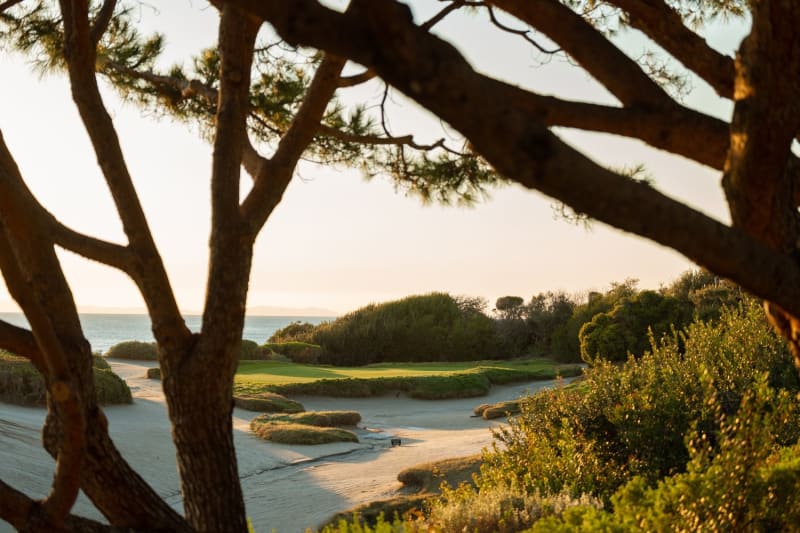 The cove