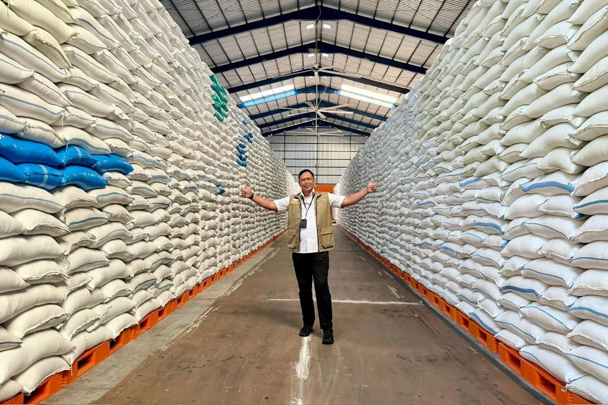 Bulog's Paddy Procurement Exceeds 3 Million Tons, Strengthening National Food Security
